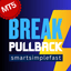 Break Pullback trading robot logo