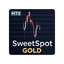 Gold Sweetspot Scalper trading robot logo