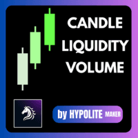 Candle liquidity volume Conservative Strategy Tester result, 10.58% simulated ROI
