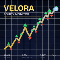 Velora Equity Monitor