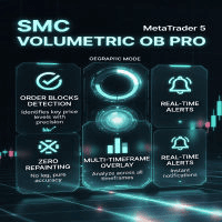 SMC volumetric OB pro Conservative Strategy Tester result, 10.62% simulated ROI