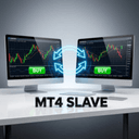 NTS Local Copier MT4 Slave plugin trading robot logo