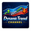 Dynamic Trend Channel trading robot logo