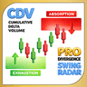 CDV Swing Radar PRO