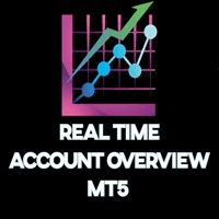 Real time account overview MT5 trading robot logo