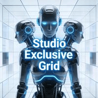 Studio Exclusive Grid Aggressive Strategy Tester result, -28.79% simulated ROI