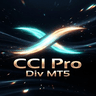 CCI Pro Div