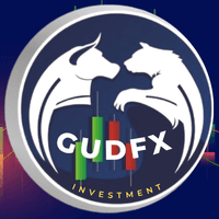 GudFX Conservative Strategy Tester result, 11.07% simulated ROI
