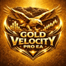 Gold Velocity Pro EA