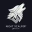 Night Scalper LV trading robot logo