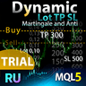 Dynamitc Lot TP SL Martingale and Anti T RU
