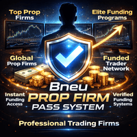 Bneu Prop Firm Pass System Conservative Strategy Tester result, 11.42% simulated ROI