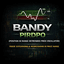 H Bandys PIRDPO trading robot logo