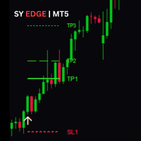 SY Edge Conservative Strategy Tester result, 11.48% simulated ROI