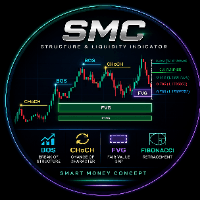 Smart Liquidity Map Aggressive Strategy Tester result, -27.71% simulated ROI