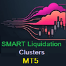 Smart Liquidation Clusters MT5