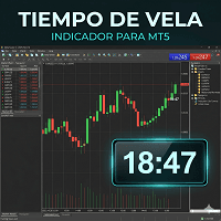 Tiempo de Vela Conservative Strategy Tester result, 11.66% simulated ROI