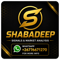 ShabaDEEP Conservative Strategy Tester result, 11.72% simulated ROI