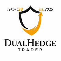 DualHedge Trader trading robot logo