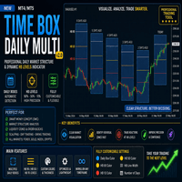 Time boxe daily multi
