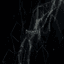 ProjectX XAU trading robot logo