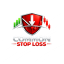 Common Stop Loss Beta trading robot logo
