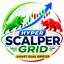 Hyper Scalper Grid trading robot logo