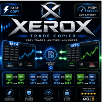 Xerox Mt5 Conservative Strategy Tester result, 12% simulated ROI