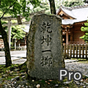 Mikage pro trading robot logo