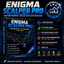 Enigma scalper fx trading robot logo