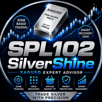 SPL102 Silver Shine Conservative Strategy Tester result, 12.43% simulated ROI
