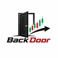 BackDoor Conservative Strategy Tester result, 12.46% simulated ROI