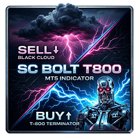 SC Bolt T800 Conservative Strategy Tester result, 12.49% simulated ROI
