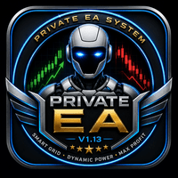 Private EA Conservative Strategy Tester result, 12.23% simulated ROI