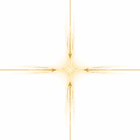 X Gold Nexus Conservative Strategy Tester result, 12.55% simulated ROI