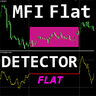 MFI Flat Detector mt