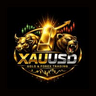 Aurum Knight Scalper