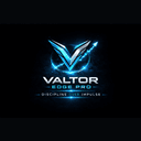 Valtor Edge Pro trading robot logo