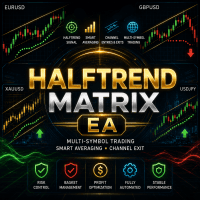 HalfTrend Matrix EA Aggressive Strategy Tester result, -24.84% simulated ROI