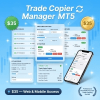 Trade Copier Manager MT5 Conservative Strategy Tester result, 13.08% simulated ROI