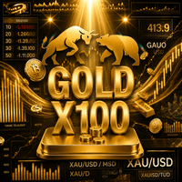LNT Gold X100 Conservative Strategy Tester result, 13.07% simulated ROI