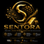 Sentora trading robot logo