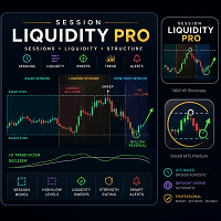 SessionLiquidityPro Conservative Strategy Tester result, 13.12% simulated ROI