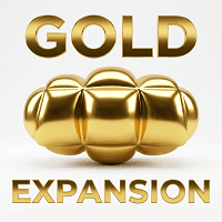 Gold Expansion Conservative Strategy Tester result, 13.11% simulated ROI