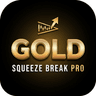 Gold Squeeze Break Pro