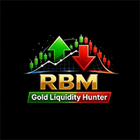RBM Gold Liquidity Hunter Conservative Strategy Tester result, 13.25% simulated ROI
