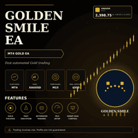 SSB Golden smile EA Aggressive Strategy Tester result, -24.51% simulated ROI