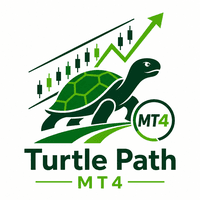 Turtle Path MT4 Aggressive Strategy Tester result, -24.52% simulated ROI
