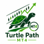Turtle Path MT4 trading robot logo