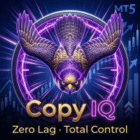 CopyIQ Aggressive Strategy Tester result, -24.49% simulated ROI